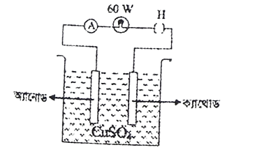 mcq image