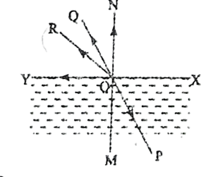 mcq image