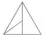 mcq image